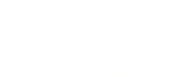 Reiter Immobilien